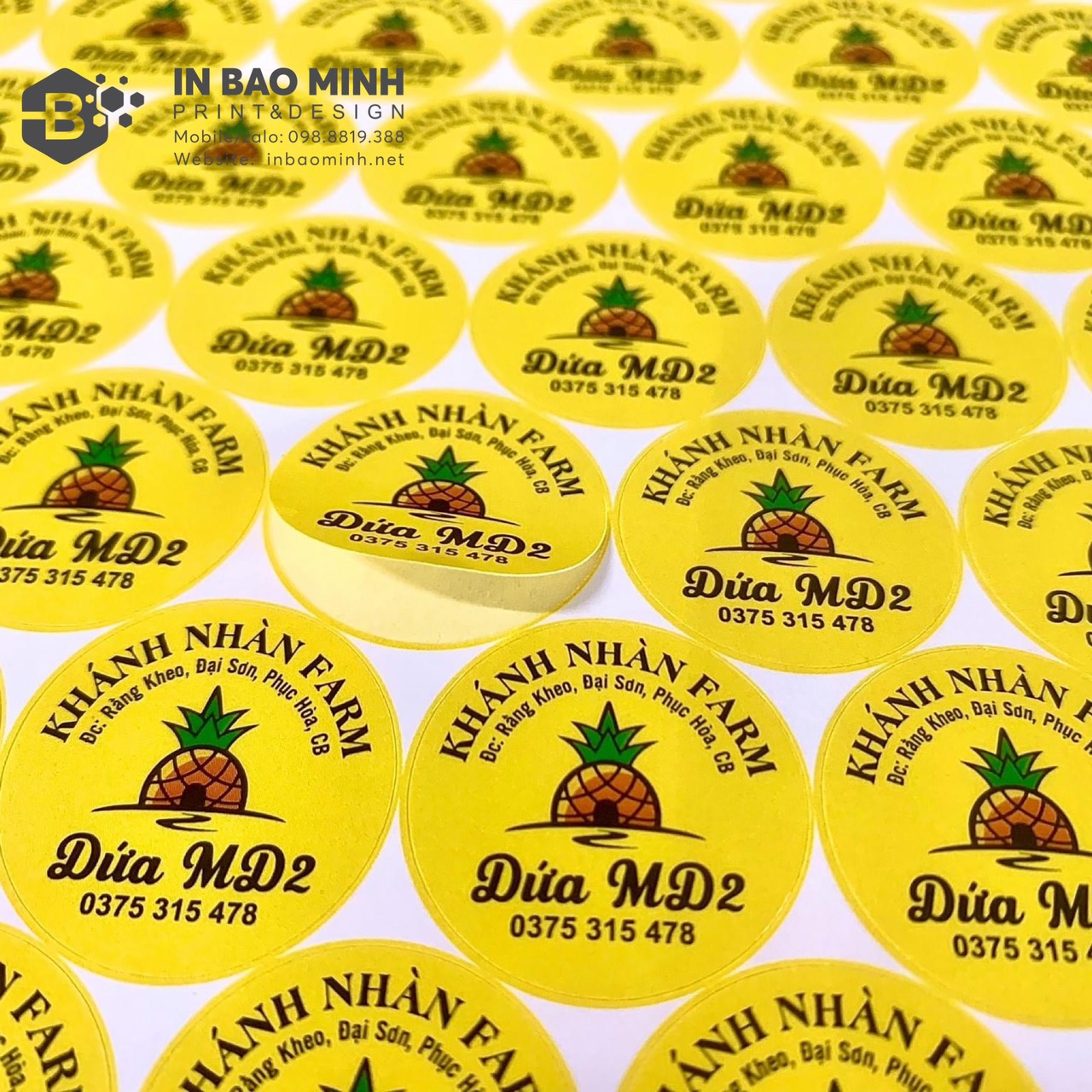 In tem nhãn mác giá rẻ - Giải pháp tiết kiệm chi phí cho doanh nghiệp